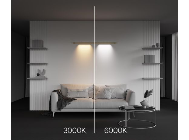 Трековое освещение Maytoni C101CL-L500-12W3-6K-BS Points