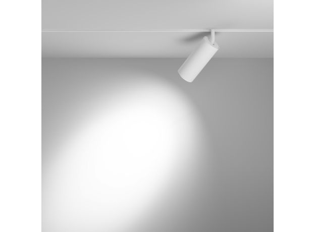 Трековое освещение Maytoni TR032-4-20WTW-M-DD2-W FOCUS LED