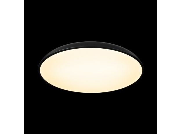 Потолочные светильники Loft It 10371 Black Dime