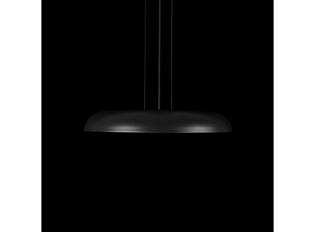 Подвесные светильники Loft It 10371P Black Dime
