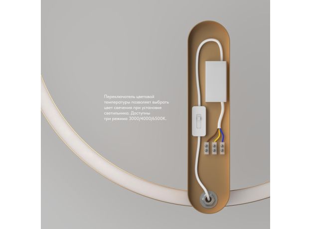 Настенные светильники Denkirs DK5035-SG ROUND