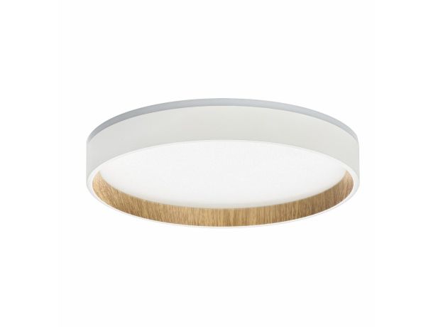 Потолочные светильники Citilux CL750240 ETALON