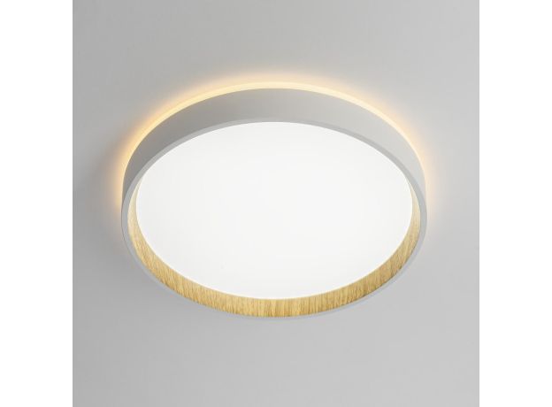 Потолочные светильники Citilux CL750240 ETALON