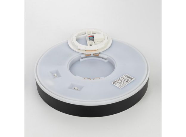 Потолочные светильники Citilux CL750241 ETALON