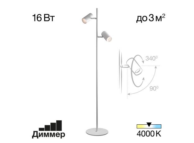 Торшеры Citilux CL809010N Twin