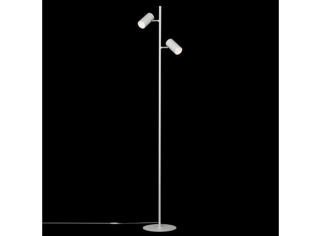 Торшеры Citilux CL809010N Twin