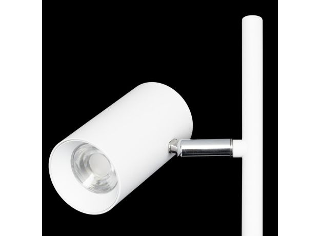 Торшеры Citilux CL809010N Twin