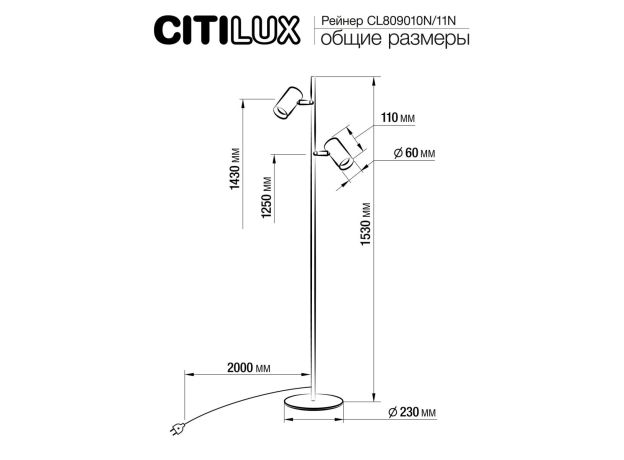 Торшеры Citilux CL809010N Twin