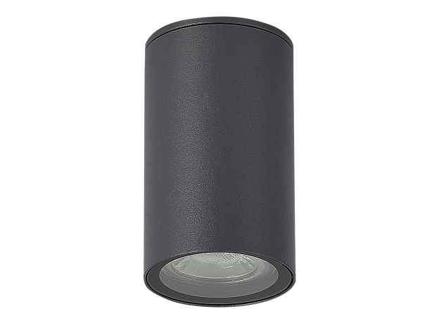 SL9010.712.01 Светильник уличный потолочный ST-Luce серый/белый GU10 1*50W