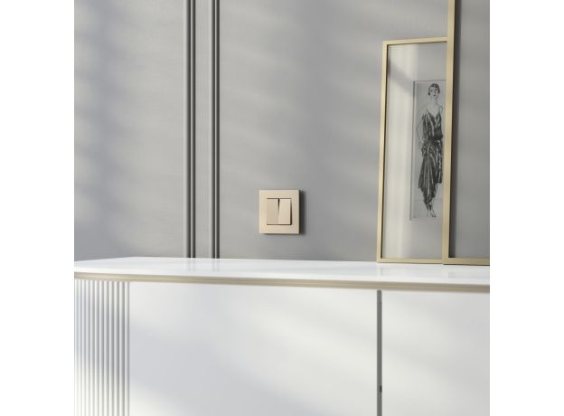 W0012911/ Рамка на 1 пост Slab (шампань софт) W0012911