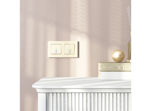 W0022911/ Рамка на 2 поста Slab (шампань софт) W0022911