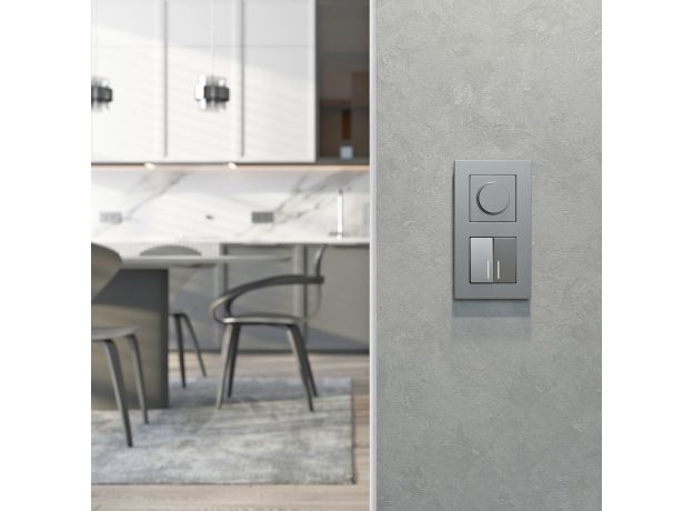 Диммер N (серебряный матовый) W1142065