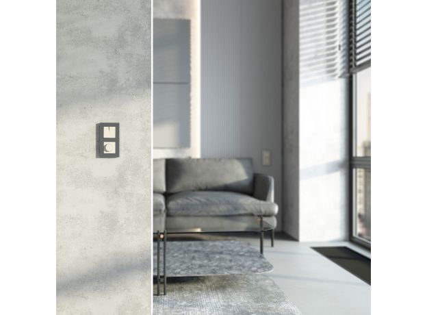 Диммер N (слоновая кость) W1142003