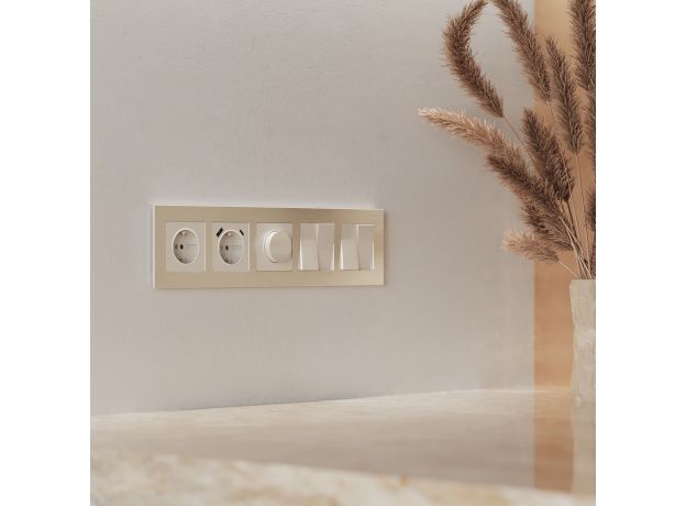 Рамка из металла на 5 постов AluMax шампань алюминий W0053511