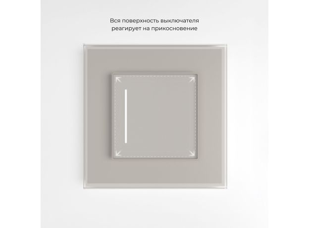 Сенсорный выключатель одноклавишный с подсветкой (дымчатый) W4512014