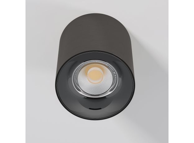 Светильник потолочный светодиодный Primo 12W 4000K титан 25116/LED