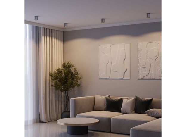 Светильник потолочный светодиодный Primo 12W 4000K титан 25116/LED