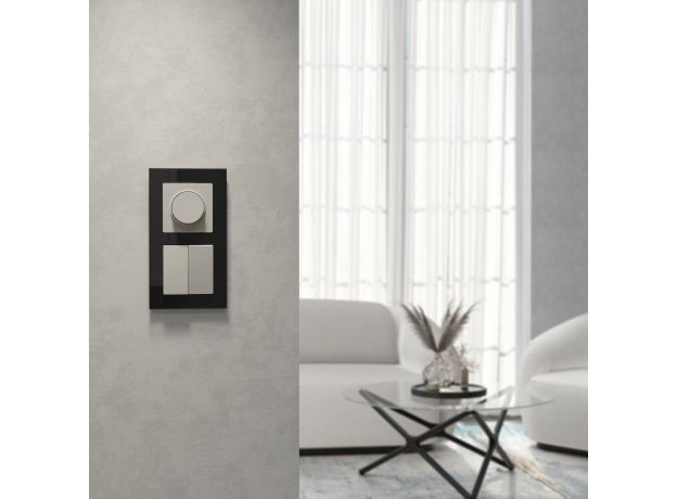 Выключатель двухклавишный (дымчатый) W1220004