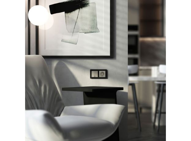 Выключатель двухклавишный (дымчатый) W1220004