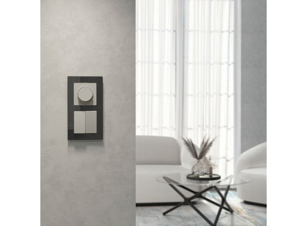 Выключатель двухклавишный проходной (дымчатый) W1222004