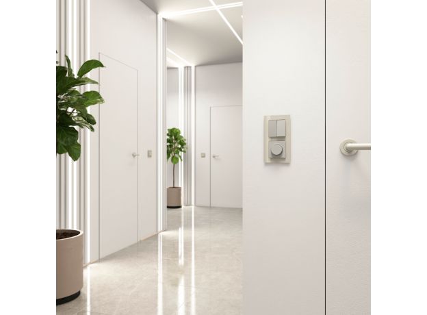 Выключатель двухклавишный проходной (дымчатый) W1222004