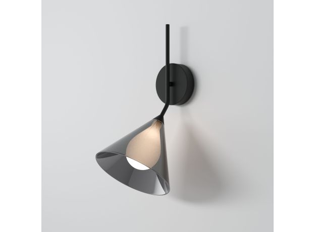 Настенный светильник со стеклянным плафоном 70161/1 черный