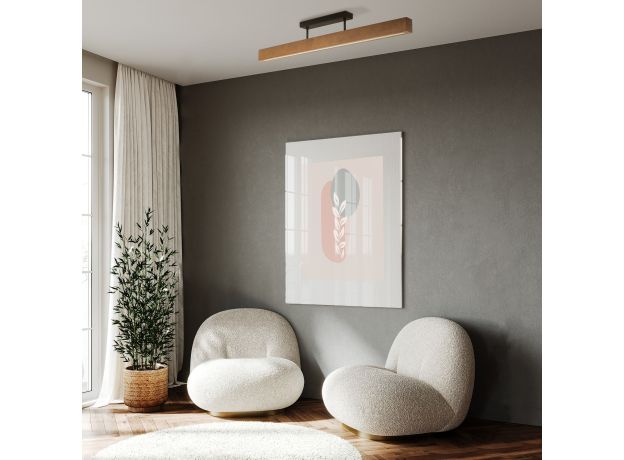 Потолочный светильник 6614 Teo