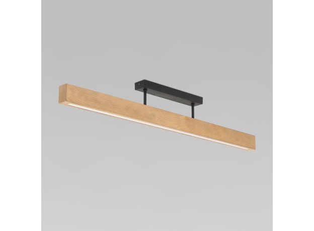 Потолочный светильник 6619 Teo