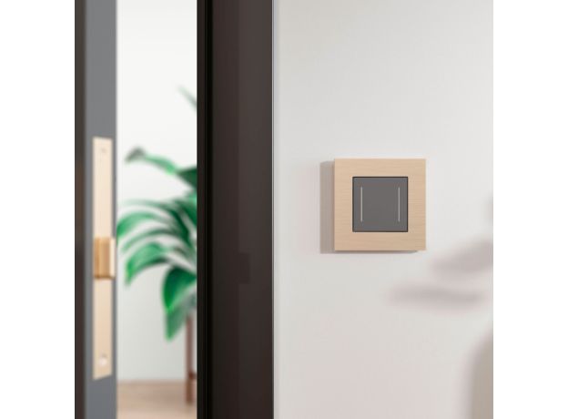 Рамка из металла на 1 пост АluMax шампань алюминий W0013511