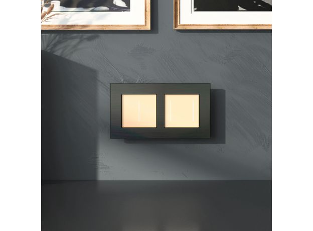 Рамка из металла на 2 поста АluMax черный алюминий W0023508