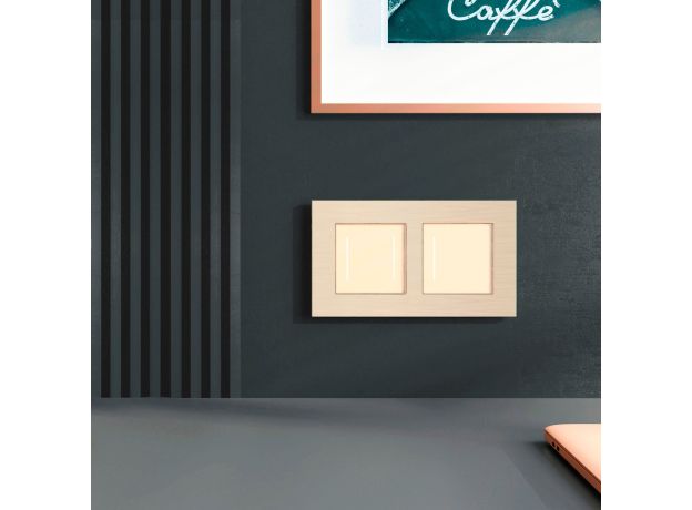 Рамка из металла на 2 поста АluMax шампань алюминий W0023511