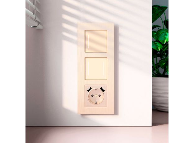 Рамка из металла на 3 поста АluMax шампань алюминий W0033511