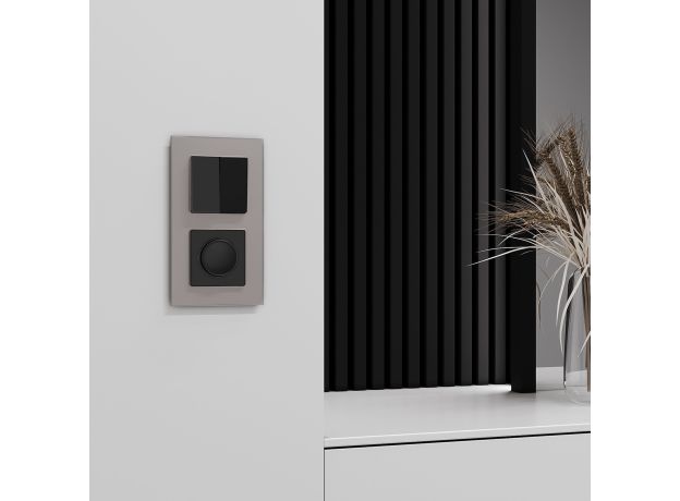 Рамка из стекла на 2 поста Senso дымчатый soft-touch W0023117