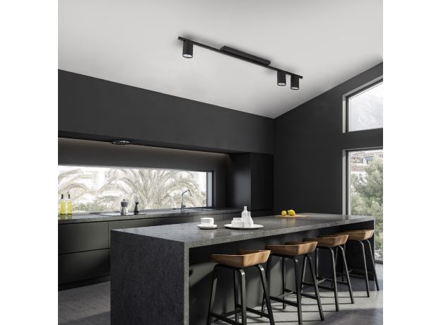 Потолочный светильник 4565 Logan Black