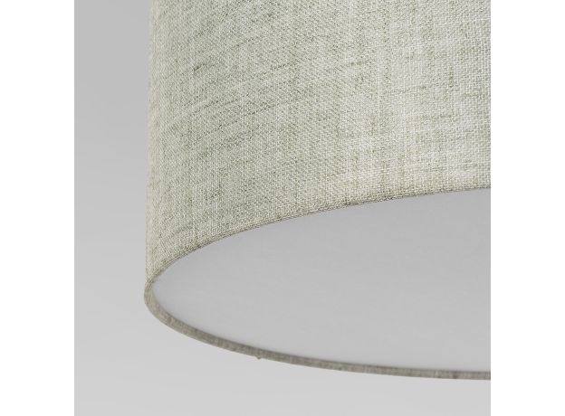 Потолочный светильник 4660 Earth