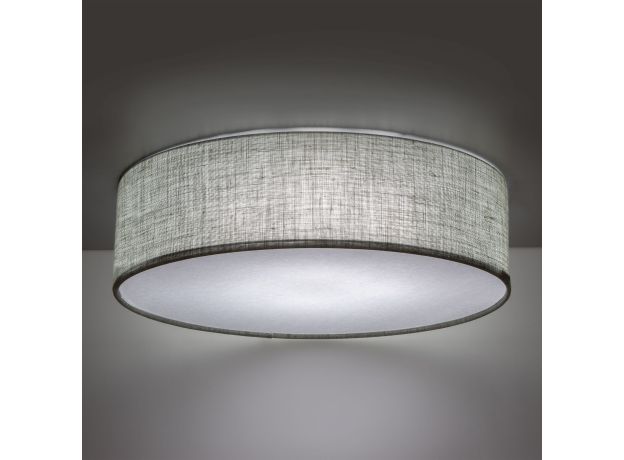 Потолочный светильник 4660 Earth