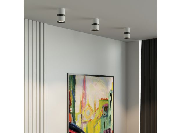 Светильник потолочный светодиодный 12W 4000К белый/чёрный 25049/LED