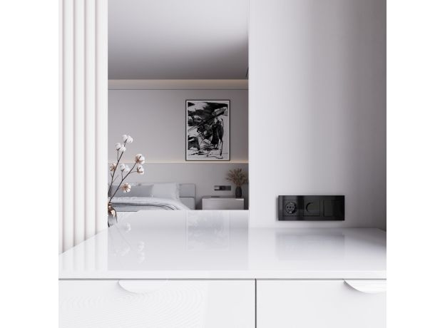 Диммер (черный акрил) W1142048