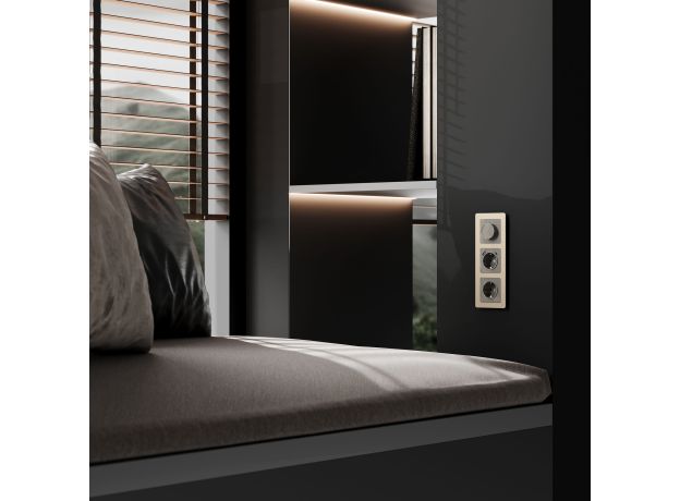 Диммер (графит акрил) W1142044