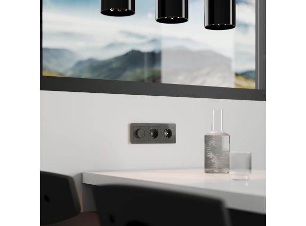 Диммер (графит акрил) W1142044