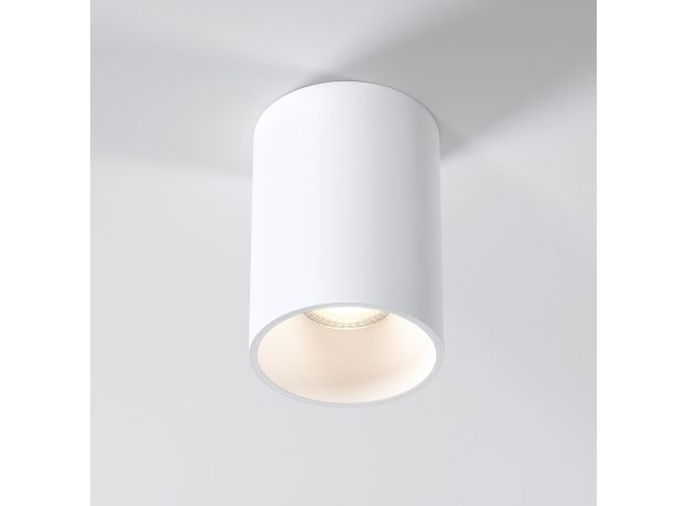 Накладной потолочный светильник 25011/01