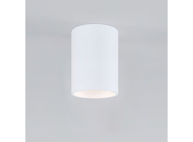 Накладной потолочный светильник 25011/01