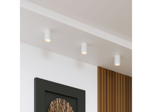 Накладной потолочный светильник 25011/01