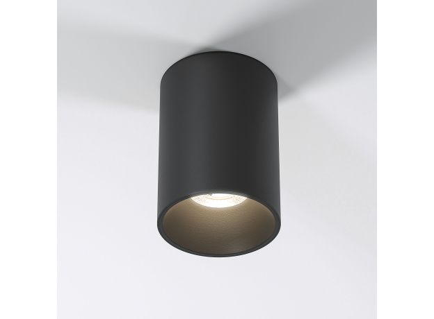 Накладной потолочный светильник 25011/01