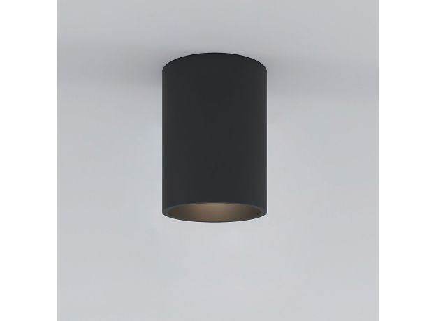 Накладной потолочный светильник 25011/01