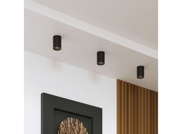 Накладной потолочный светильник 25011/01