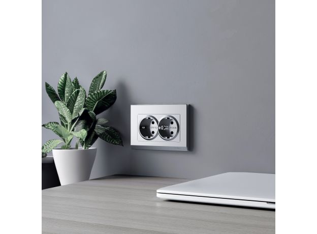 Розетка двойная с заземлением (серебряный матовый) W1172065