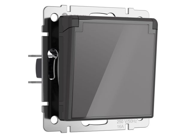 Розетка влагозащ. с зазем. с защит. крышкой и шторками (графит акрил) W1171244