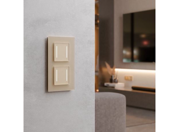 Сенсорный выключатель двухклавишный с подсветкой (шампань) W4522011