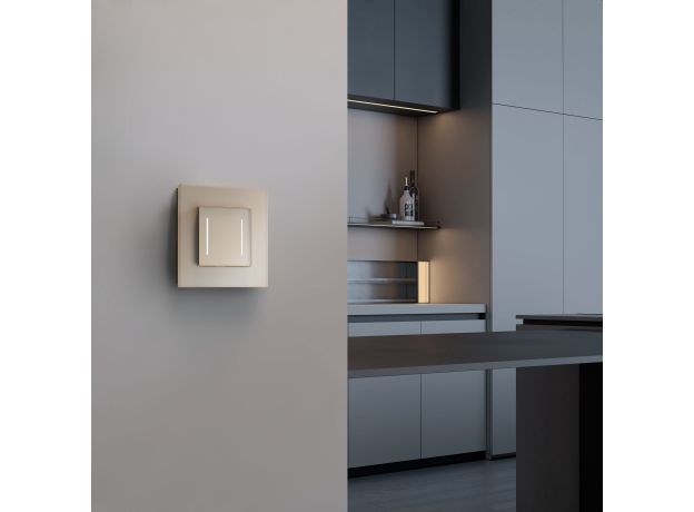 Сенсорный выключатель двухклавишный с подсветкой (шампань) W4522011